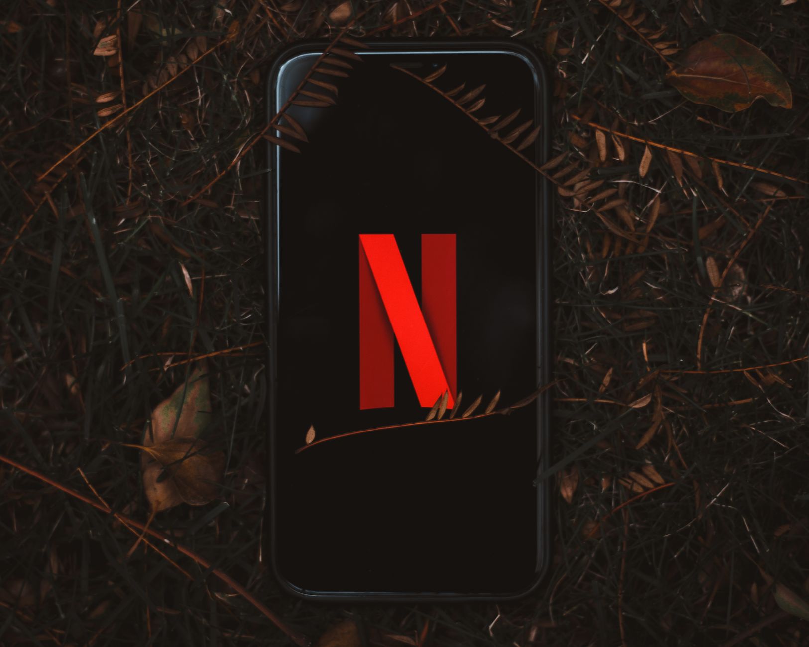 Smartphone with Netflix logo on screen, surrounded by dry leaves outdoors.