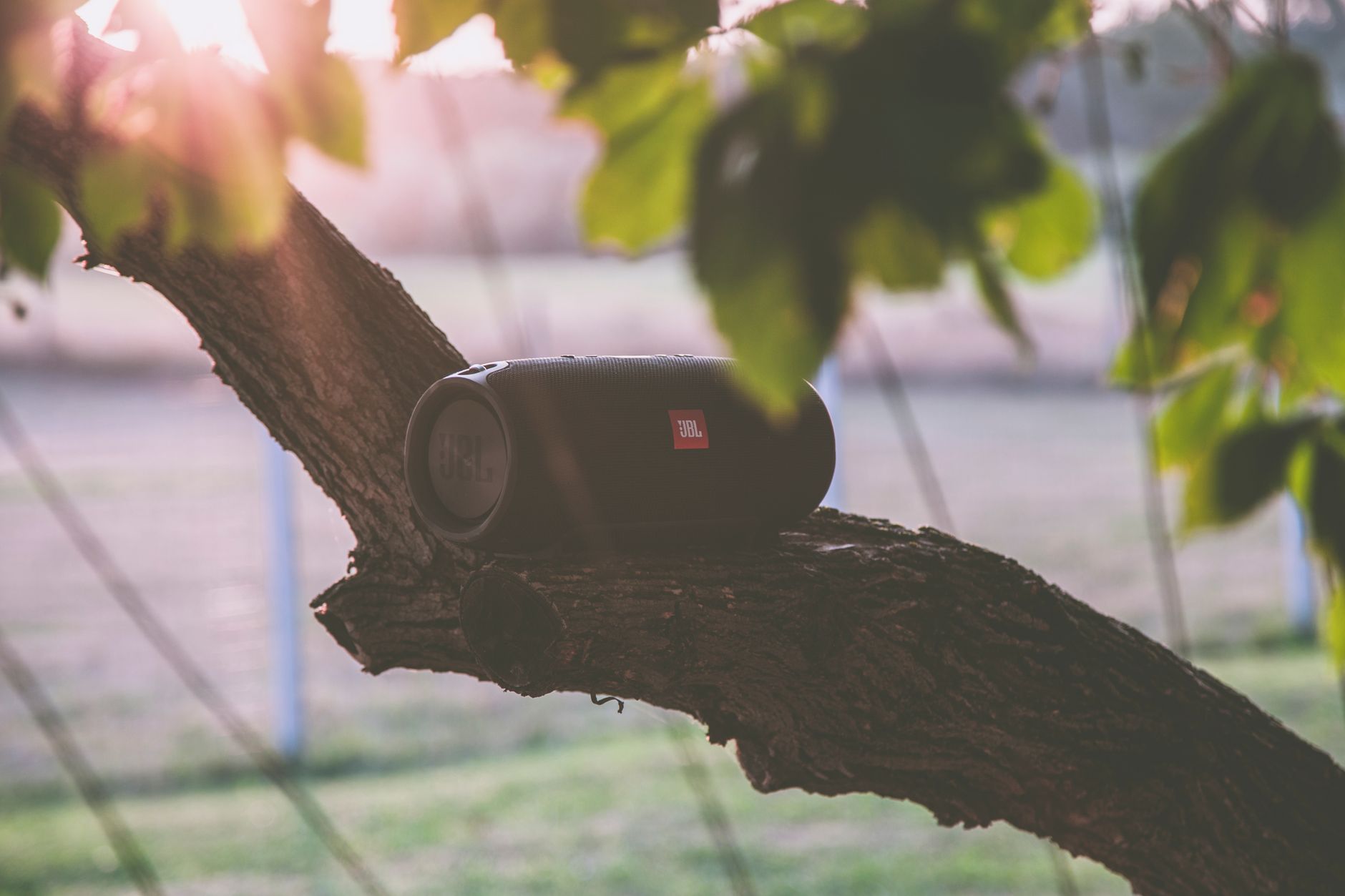 Bluetooth speaker resting on a tree branch during sunset in a serene outdoor setting.
