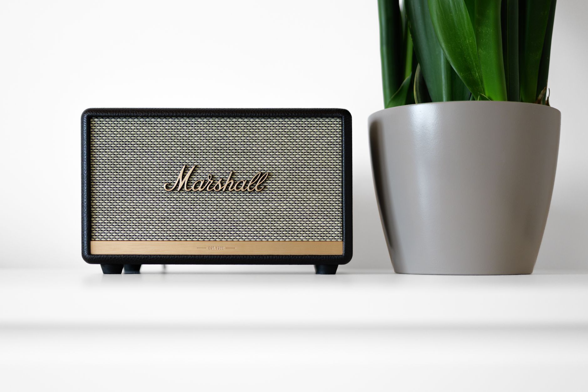 A sleek Marshall speaker beside a modern potted plant on a minimalist surface, highlighting a blend of technology and nature decor.